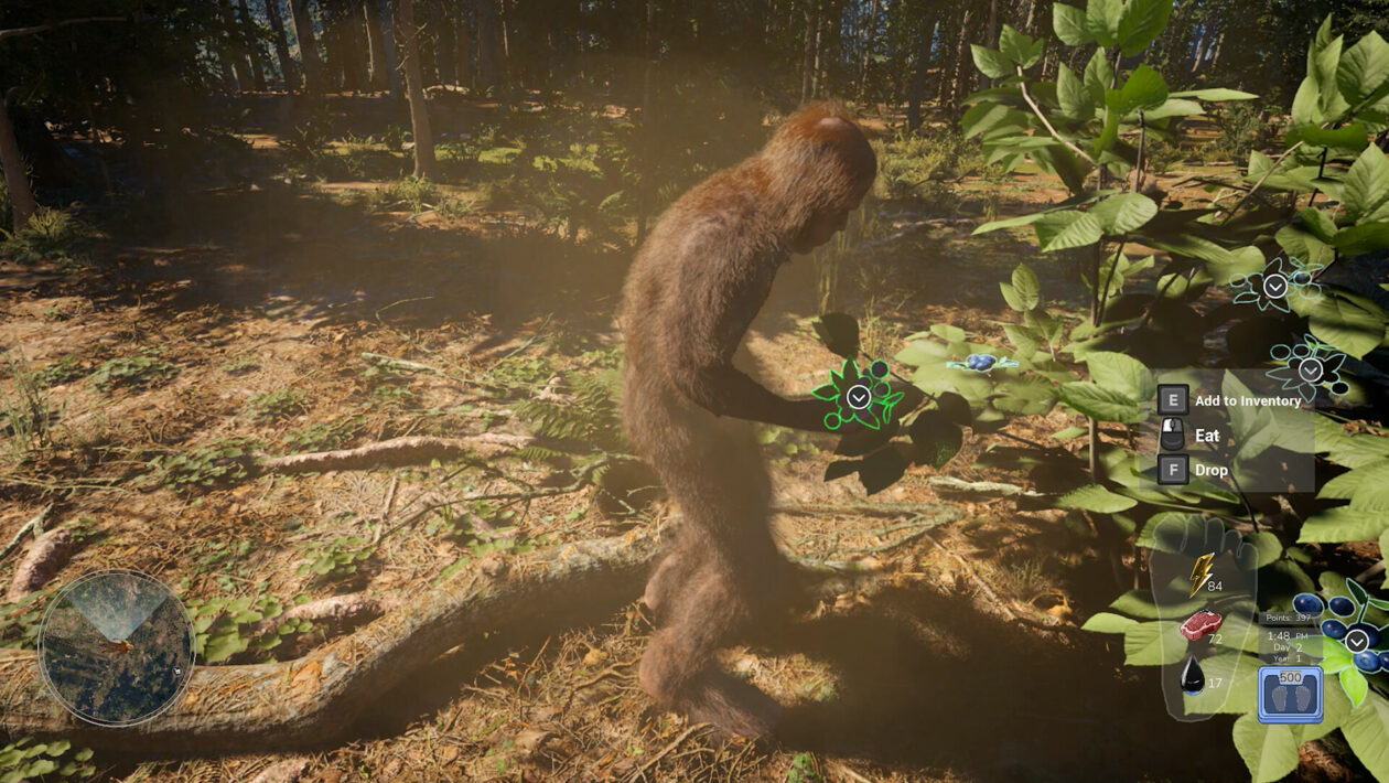 V survivalu Bigfoot Life se musíte vyhýbat lidem