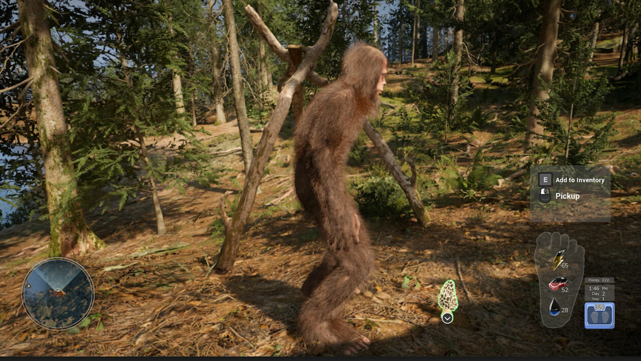 V survivalu Bigfoot Life se musíte vyhýbat lidem